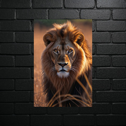 Majestic Lion at Sunset